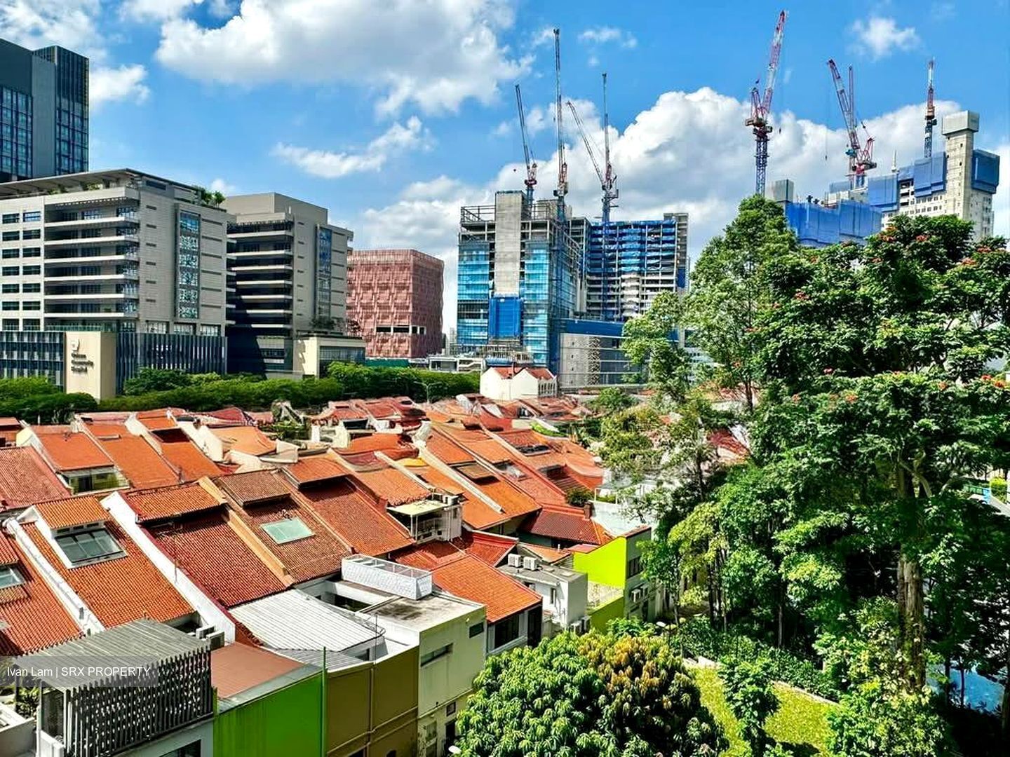 Spottiswoode Park (D2), Apartment #537753341